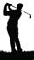 http://www.cliparthut.com/clip-arts/479/golfer-silhouette-clip-art-479553.jpg